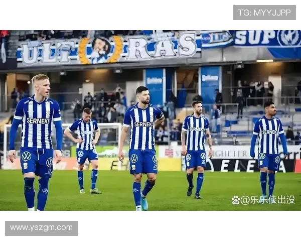 德甲不幸降级球队：分析德甲不幸降级的球队及其未来走向