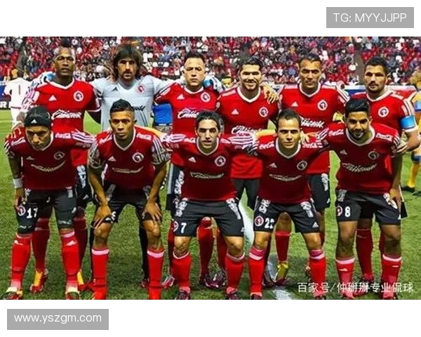 法甲球员场上各项表现数据图解与表现总结